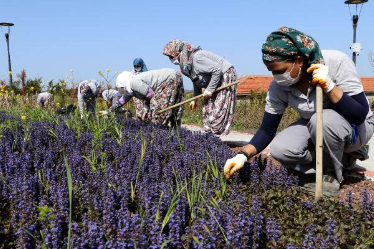 Tam kapanmanın ilk gününde kadın işçiler, çapa yapıp, otları temizledi