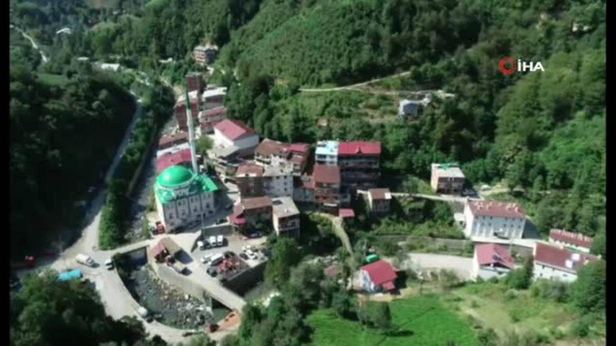 Artvin Valisi Doruk, çay bahçesine girdi çay topladı