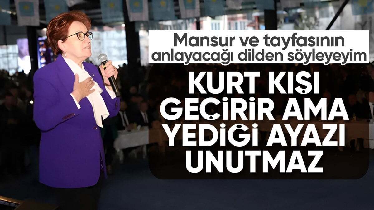 Kurt kışı geçirir ama yediği ayazı unutmaz